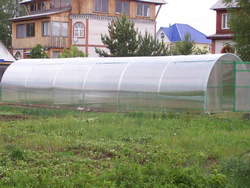 Теплица 12х3