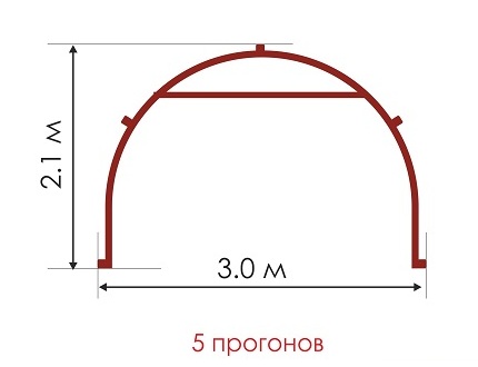 Теплица Сибирячка